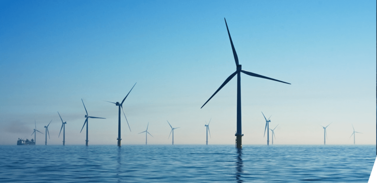 Innovating for a Sustainable Tomorrow